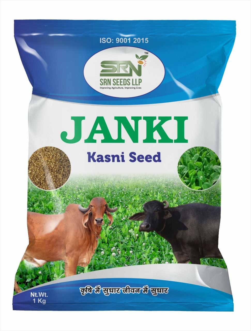 Chicory (Kasni fodder)