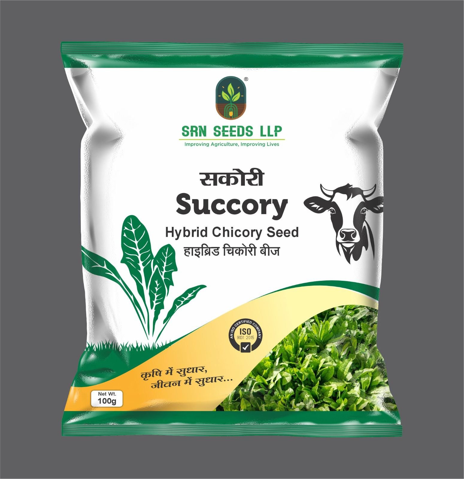 Hybrid Chicory (hybrid Kasni fodder)