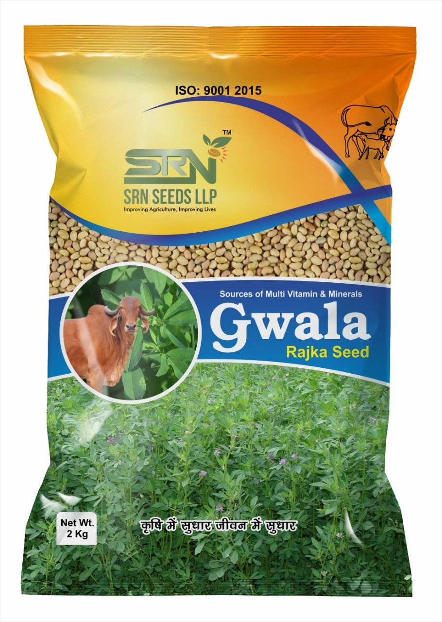 Lucerne (Rajka grass)