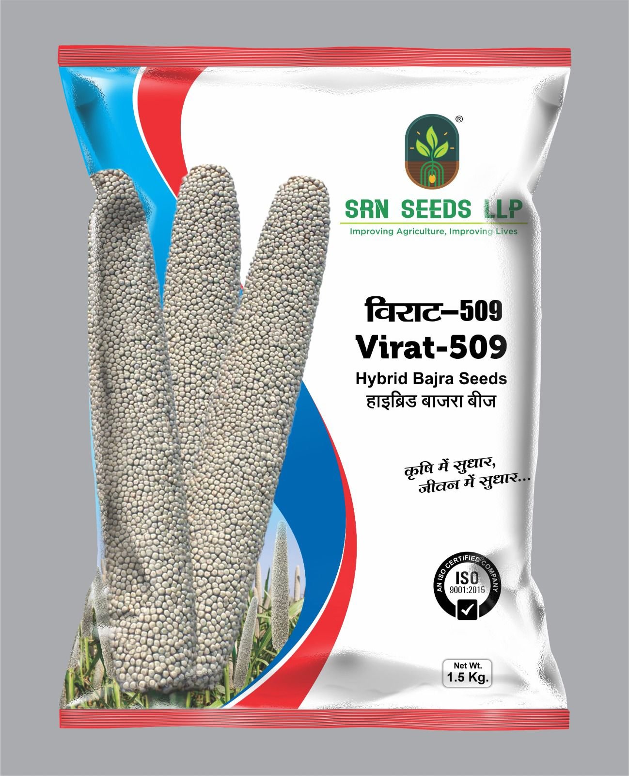 Pearl Millet (Bajra) 3