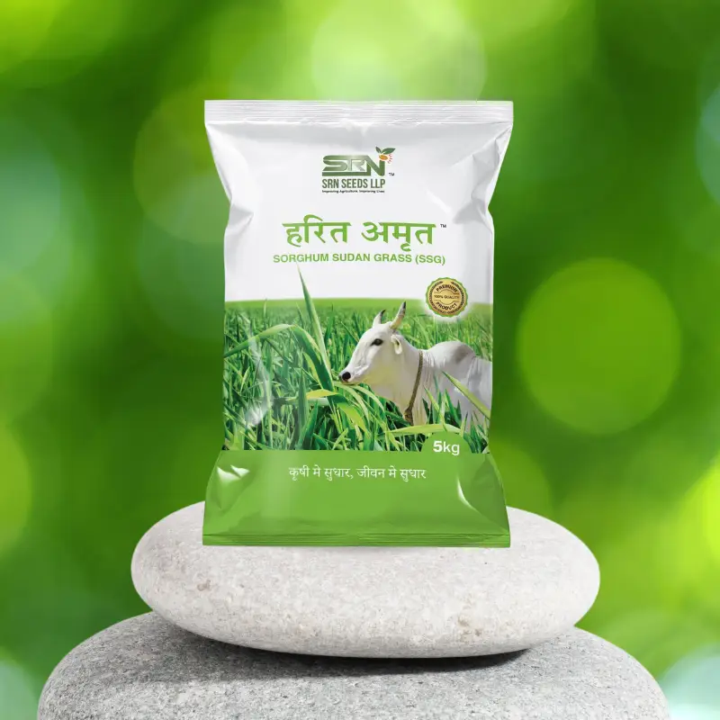 SSG (Sorghum Sudan Grass)